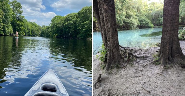 This Florida State Park Offers Spring Swimming That Feels Completely Unreal