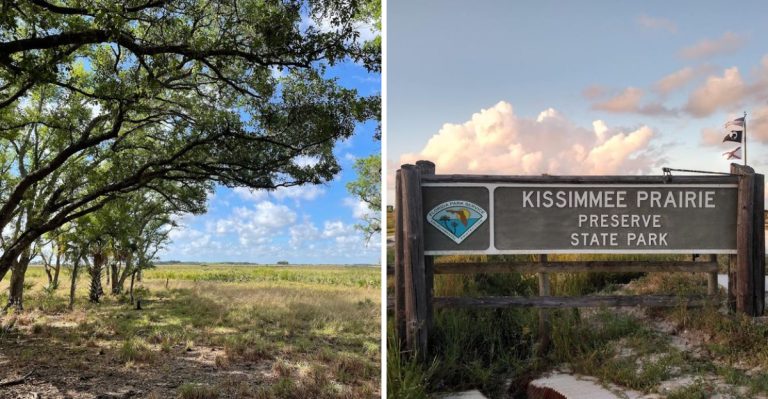 This Florida State Park Swaps City Lights For Prairie Ponds And Some Of The State’s Darkest Skies