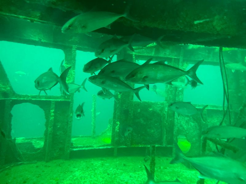 Record-Breaking Size That Puts Every Other Artificial Reef To Shame