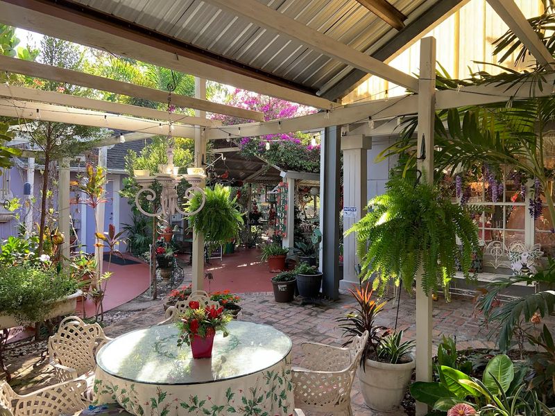 The Garden Setting That Steals The Show Before You Even Sit Down