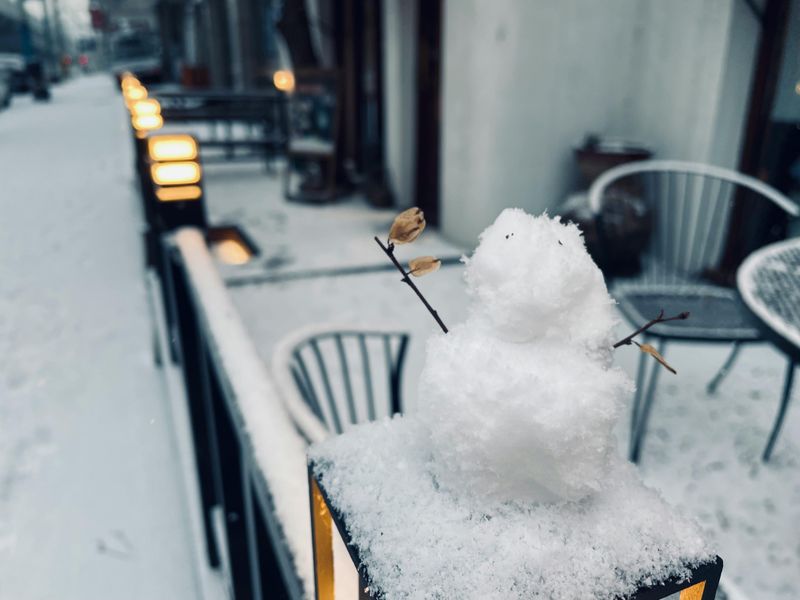 Capitol Complex: Where Florida’s Story Gets Tall