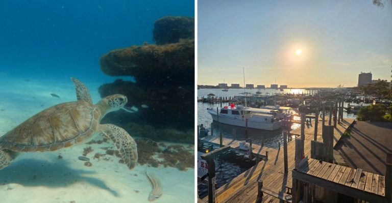 This Florida Town Has Some Of The Clearest Water In The State, Yet Tourists Usually Miss It