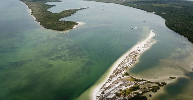 This Florida Undeveloped Beach Is So Otherworldly, You Might Think You’re In A Dream