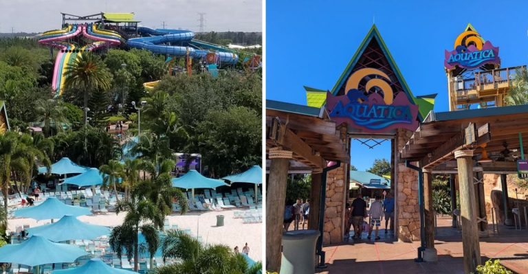 This Florida Water Park Lets You Slide Through A Dolphin Habitat