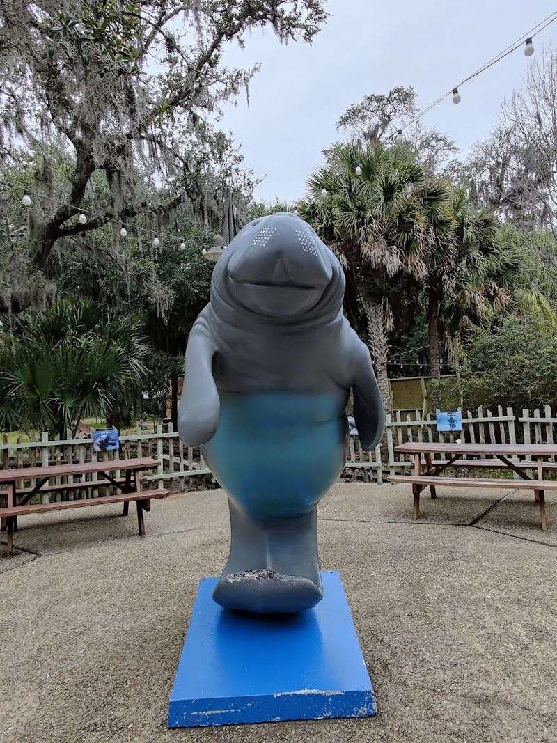 Massive Scale Meets Medical Precision