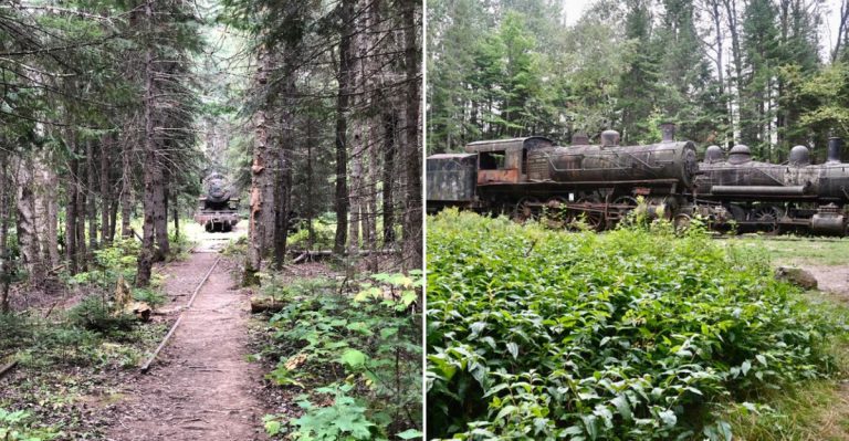 This Forgotten Locomotive Graveyard In Maine Is A Fascinating Look Into The Past
