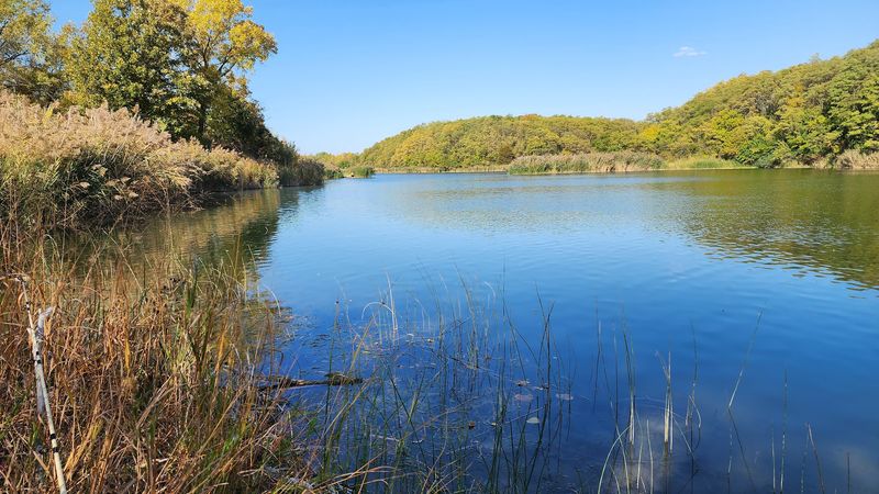 A Coal Mine Turned Conservation Treasure