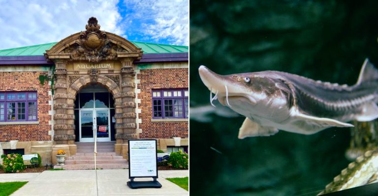 Belle Isle Aquarium