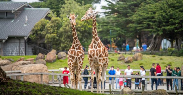 This Free Illinois Zoo Has A Farm-In-The-Zoo Where Kids Can Meet Animals Up Close