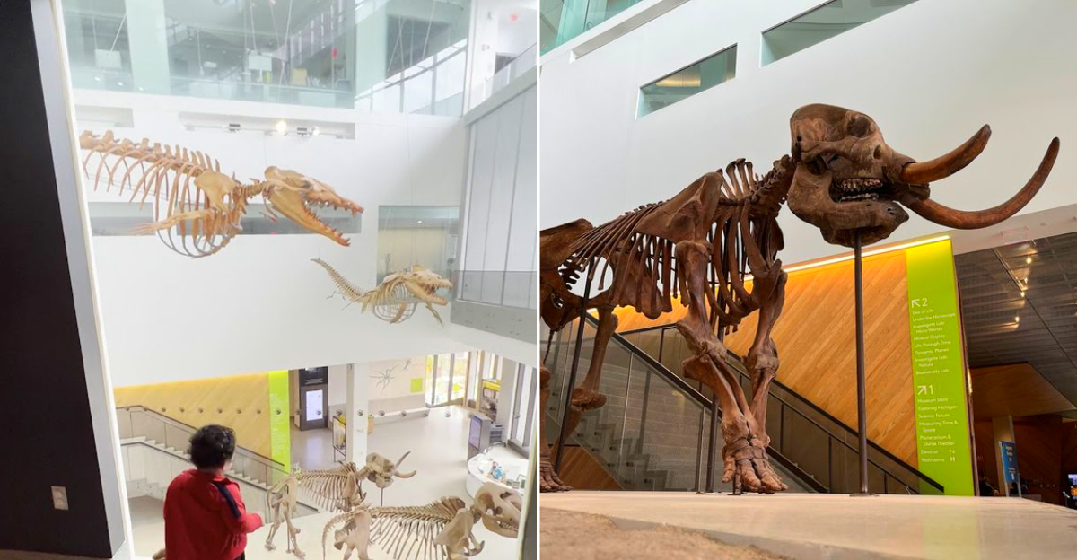 University of Michigan Museum of Natural History