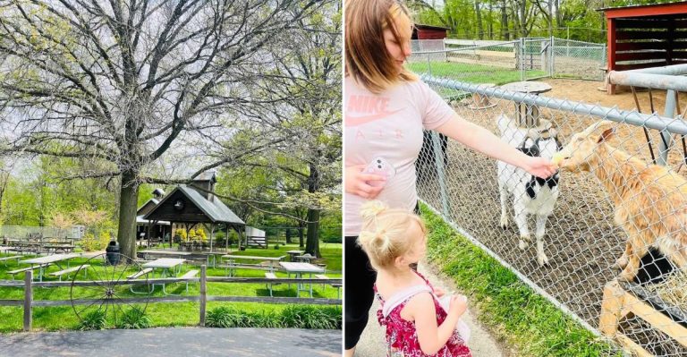 This Free Tuesday Farm Park In Illinois Is A Dreamy Family Day Trip