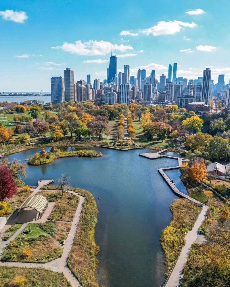A Free Zoo With A Skyline View