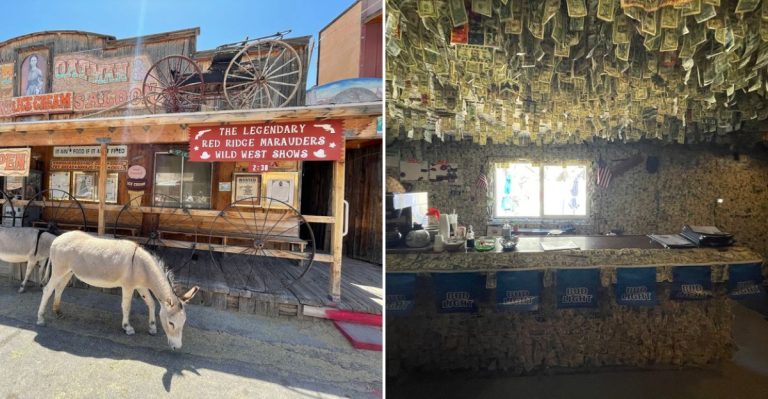This Funky Arizona Roadside Shop Is So Weird You Have To See It Yourself