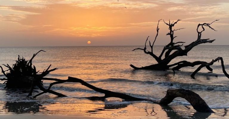 This Georgia Beach Looks Like A Natural Sculpture Garden Left Behind By The Sea