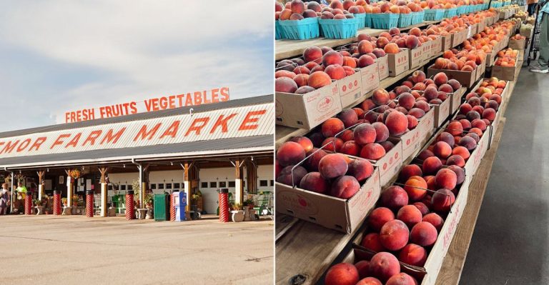 This Georgia Farm Market Makes Fresh Peach Season Feel Like A Sweet Summer Ritual