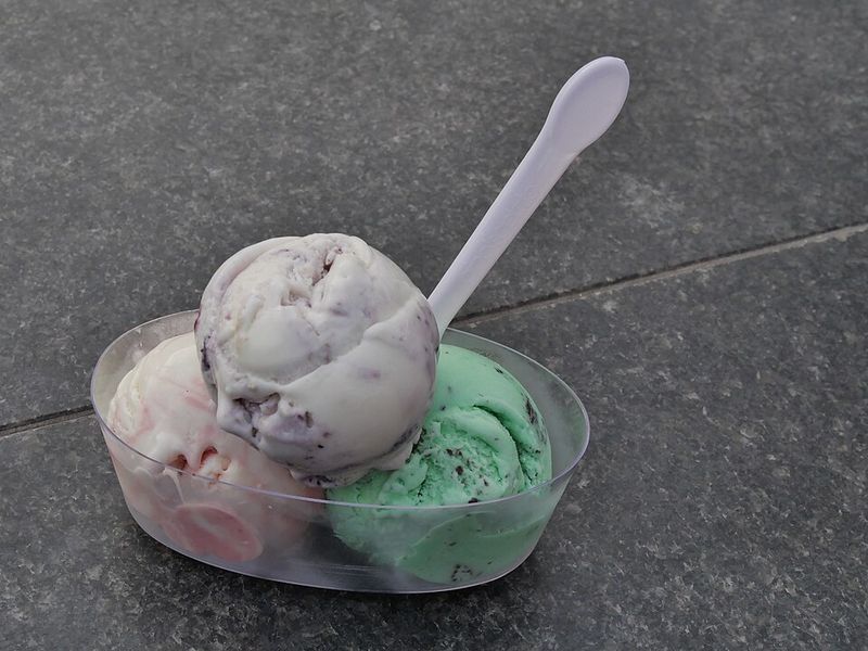 Scout The Lakefront Timing
