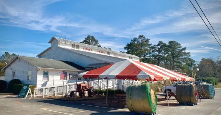 This Georgia Orchard Makes A Sticky Summer Drive End In Ice Cream And Cobbler