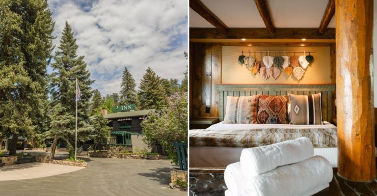 This Giant Tree House Restaurant In Colorado Looks Like A Fairytale