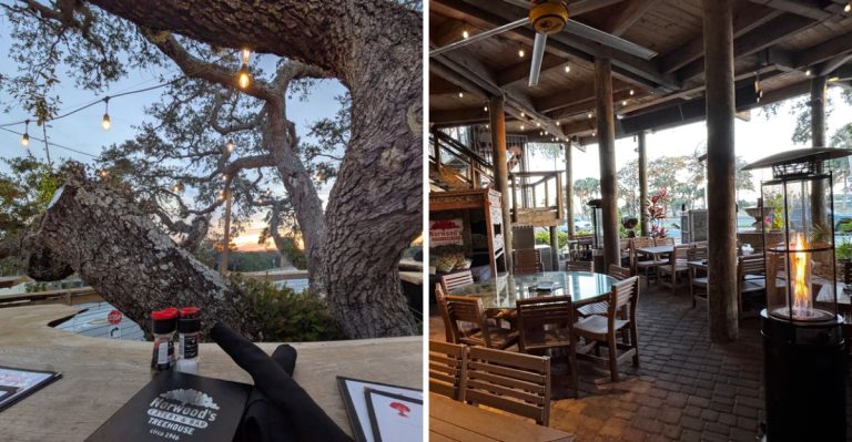 This Giant Tree House Restaurant In Florida Looks Like A Fairytale