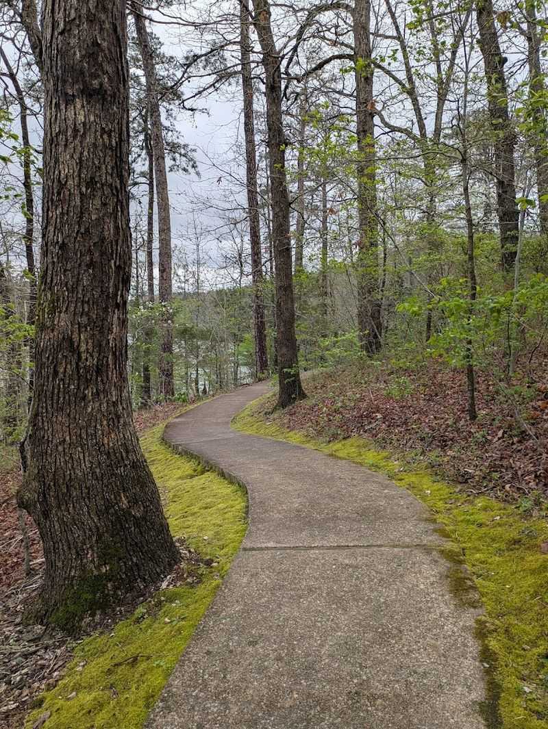 Hidden Woodland Setting