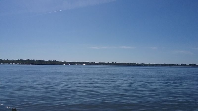 The Unreal Clarity Of The Water