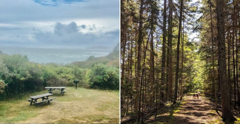 This Gorgeous Maine State Park Is A Quiet Gem Worth Finding