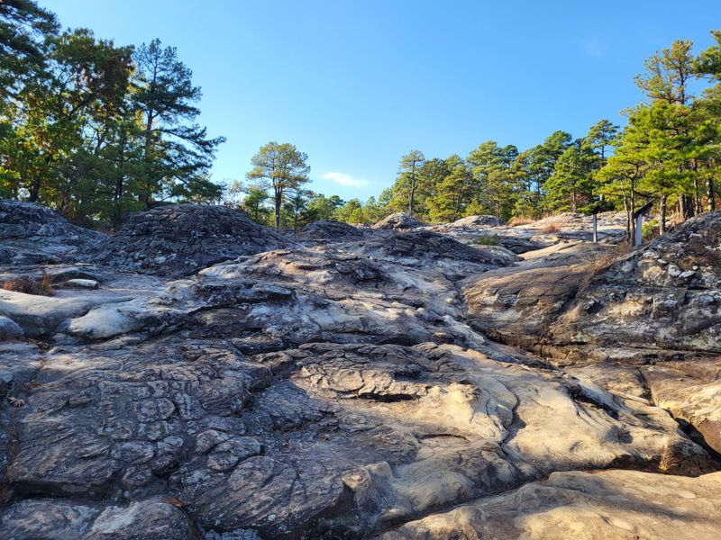 The Hidden Beauty Of Petit Jean