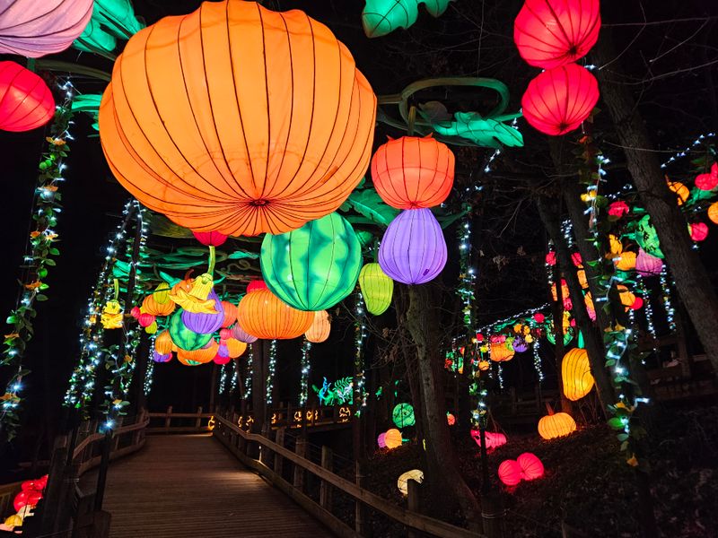 This Grand Rapids Michigan Lantern Festival Will Light Up Spring Nights ...
