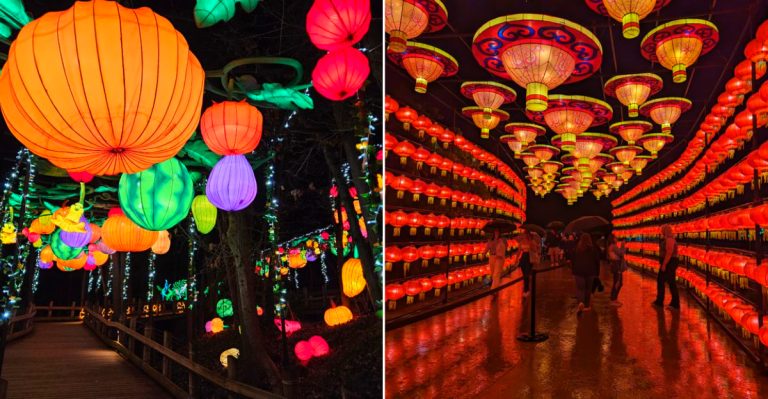 Lights at the Grand Rapids Michigan Lantern Festival