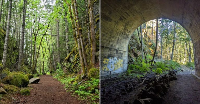 This Haunted Washington Forest Hike Leads Through Eerie Mountain Tunnels