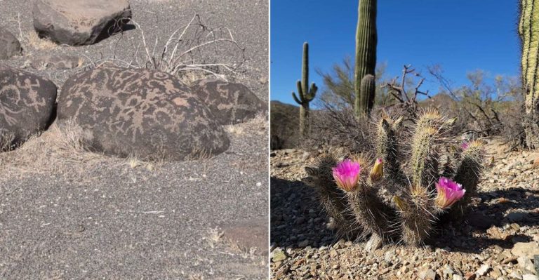 This Hidden Arizona Desert Park Turns Rock Spotting Into An Art-Filled Adventure