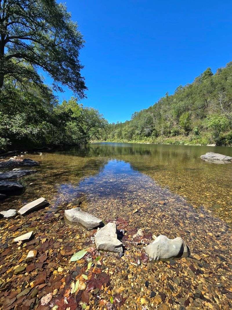 Remote Mountain Run Through Rugged Forest Terrain