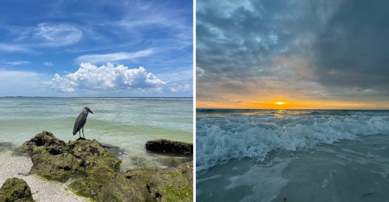 This Hidden Florida Beach Is Small, Stunning, And Surprisingly Overlooked