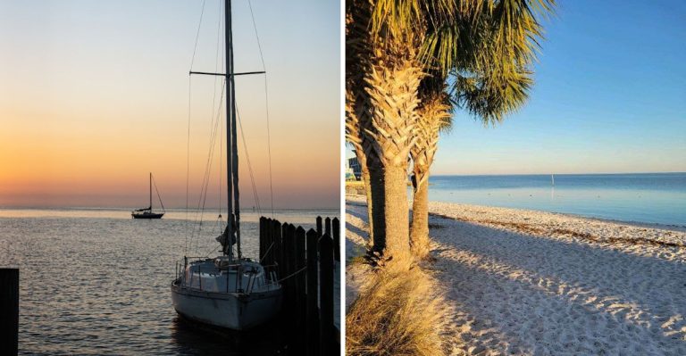 This Hidden Florida Island Is Packed With Fresh Clams, Kayak Trails, And Seafood Festival Events