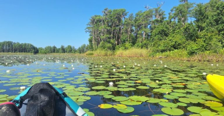 This Hidden Florida Lake Beach Has Clear Blue Water And Almost No Crowds