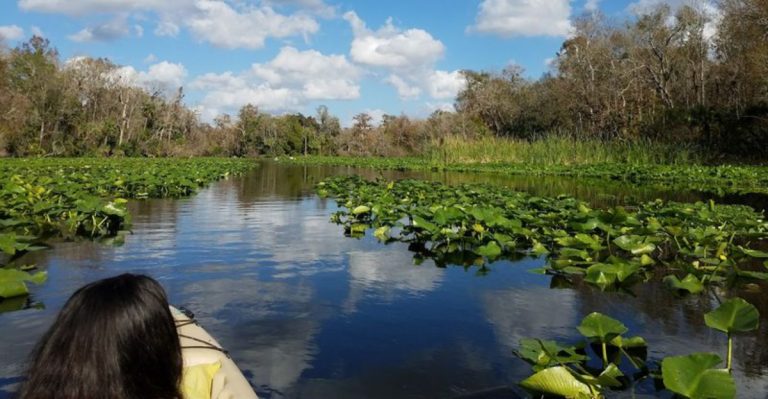 This Hidden Florida River Offers A Canoe Trip Straight Into A Lost World