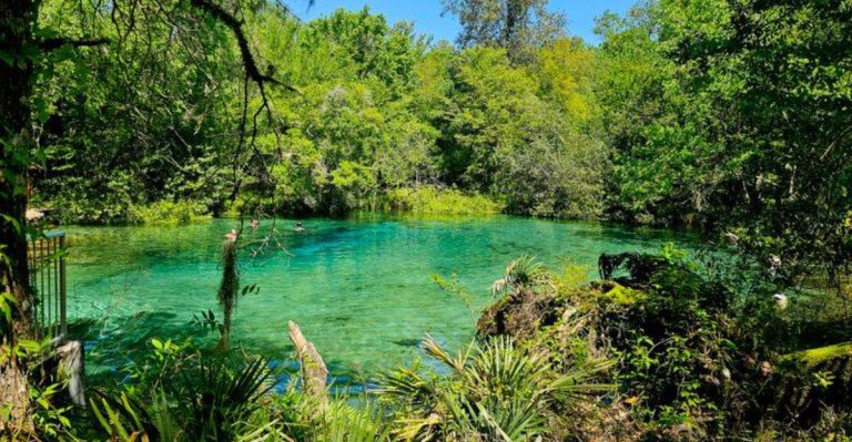 This Hidden Florida Spring Stays 72 Degrees Year-Round And Rarely Gets Crowded