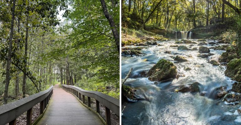 This Hidden Florida Trail Ends At A Tiny Waterfall You’ll Never Forget