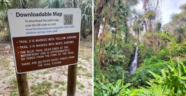This Hidden Florida Water Park Lets You Swim, Paddle, And Camp All Weekend