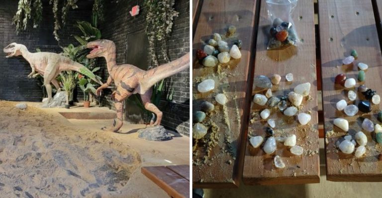 This Hidden Fossil Adventure Might Be Arkansas’ Most Exciting Family Day Trip This Summer