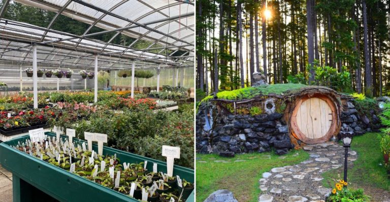This Hidden Garden Center In Washington Is A Must-Visit For Anyone Who Loves Whimsical Worlds