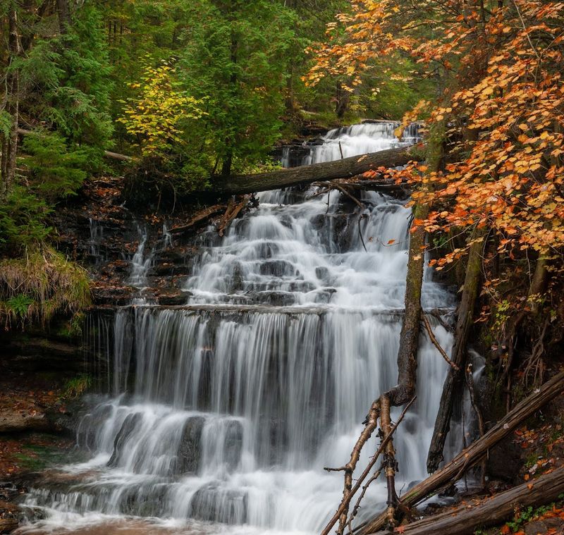 Catch The First Light