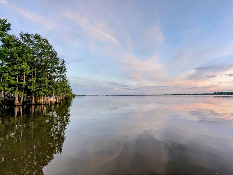 A Plantation Swallowed By Rising Waters
