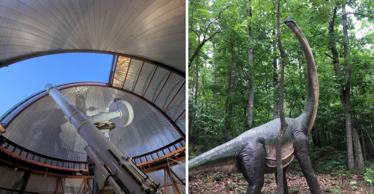 This Hidden Greenville Science Center Has A Planetarium, Butterfly Garden, And A Dinosaur Forest