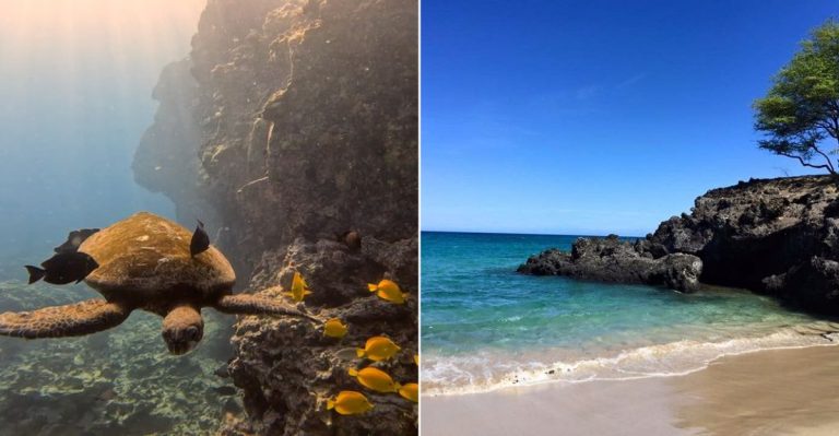 This Hidden Hawaii Beach Town Feels Like The Paradise Locals Wish Stayed Off The Map