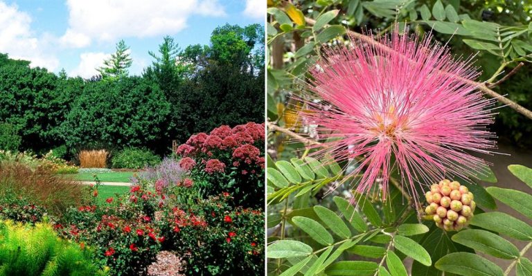 This Hidden Illinois Garden Is Stunning In Spring This April