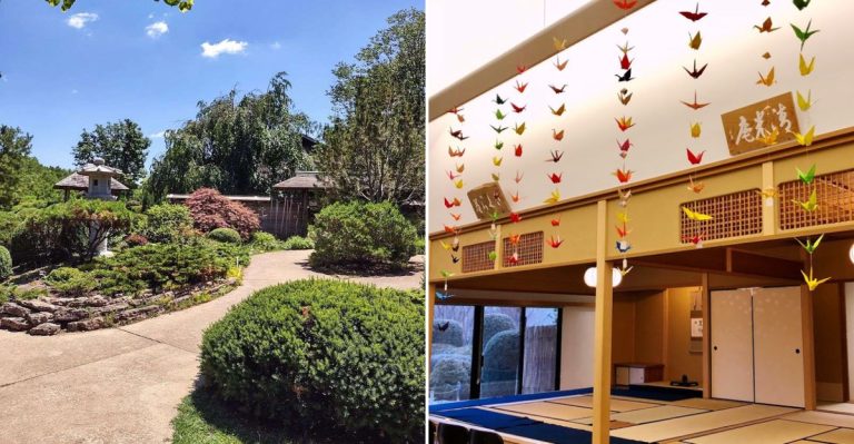 This Hidden Illinois Tea House Feels Like A Trip To Kyoto