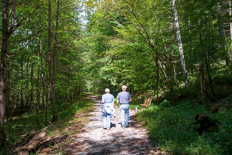 Pine Mountain State Resort Park