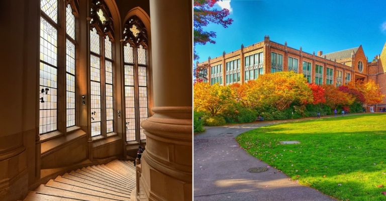 This Hidden Library In Washington Feels Like It’s From Another World