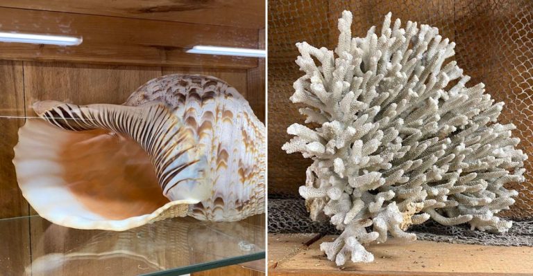 This Hidden Maine Museum Is Perfect For Anyone Fascinated By The Ocean